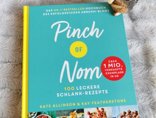 "Pinch of Nom" Kochbuchtest