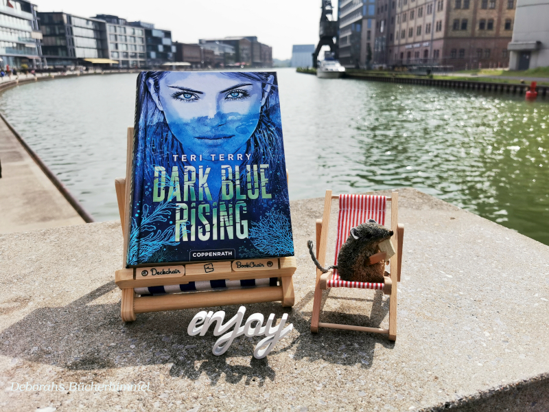 Teri Terry Dark Blue Rising mit Blogmaus im Hafen von Münster