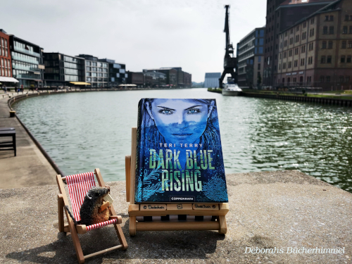 Teri Terrys Buch im Hafen von Münster mit Blogmaus im Liegestuhl