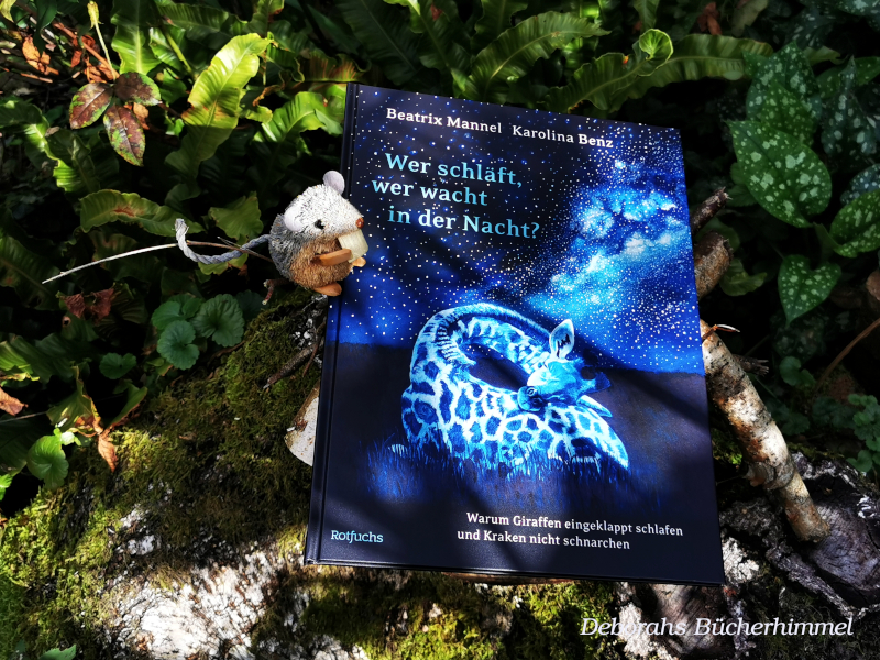 "Wer schläft, wer wacht in der Nacht?" von Beatrix Mannel und Karolina Benz mit Blogmaus