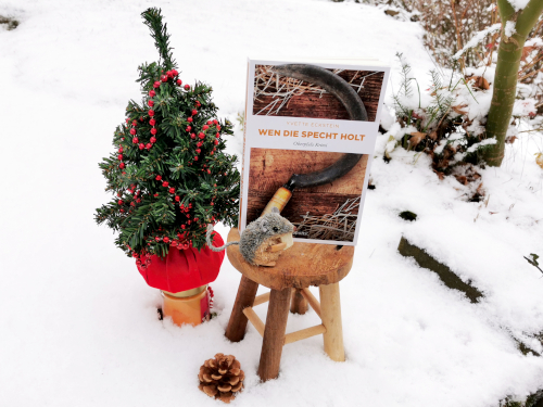 Weihnachtliches Bild im Schnee mit Mini-Tannenbaum, Blogmaus und dem Buch von Yvette Eckstein.