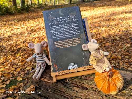 Klappentext zu "A Dark And Secret Magic" von Wallis Kinney.