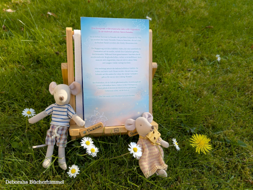 Klappentext zu "...als der Himmel uns berührte" von Jani Friese.