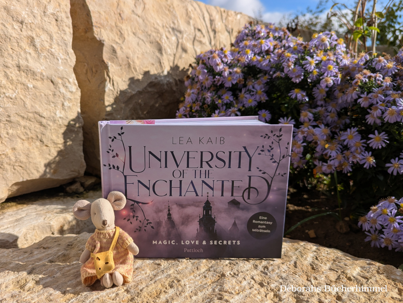 "Unviversity of the Enchanted" von Lea Kaib mit Blogmaus.